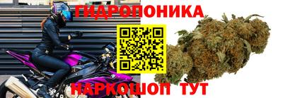 прущая мука Беслан