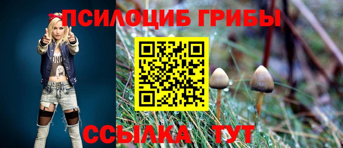 Каменск-Шахтинский  Псилоцибиновые грибы мицелий  Вход с VPN 